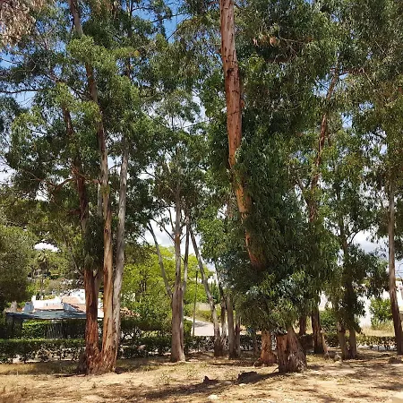 Remodelada Nos Jardins Da Balaia * Albufeira