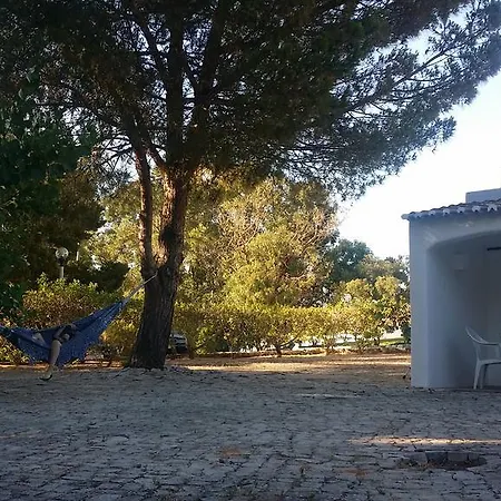 منتزه العطل Remodelada Nos Jardins Da Balaia البوفيرا